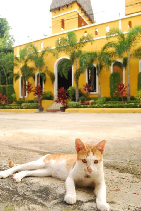 Riad HHQ Exteriér fotografie