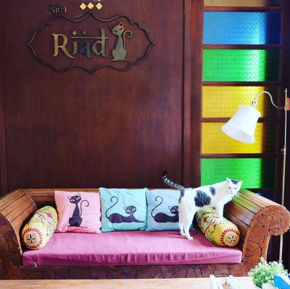 Riad HHQ Exteriér fotografie